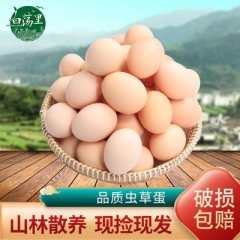 白荡里40-30枚高品质虫草蛋40-50克现捡现发破损包赔