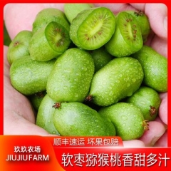 丹东软枣猕猴桃1/2/3斤奇异莓青皮圆枣新鲜孕妇水果顺丰包邮...