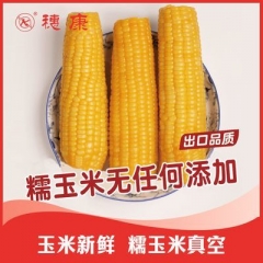穗康糯玉米新鲜甜糯黄糯8支装230g/支即食整箱新鲜糯黏玉米...