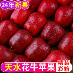 花牛苹果正宗甘肃天水新鲜水果黑苹果一整箱3/4.7/8.7斤高端彩箱