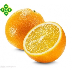 测试商品矿泉水（勿拍不发货）