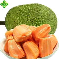 红肉菠萝蜜(商品净重8斤）