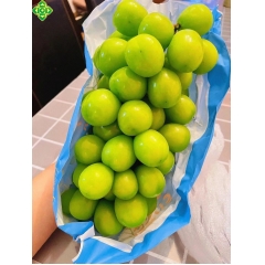 小筐晴王（商品净重1.7斤）