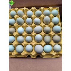 绿皮鸡蛋1